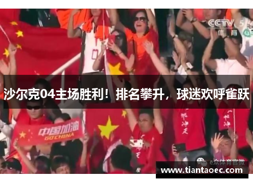 沙尔克04主场胜利！排名攀升，球迷欢呼雀跃