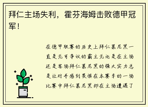 拜仁主场失利，霍芬海姆击败德甲冠军！